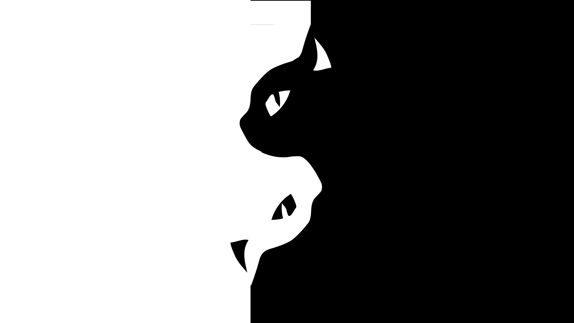 StreetCat Studio showreel poster with mirrored black and white cat forms
